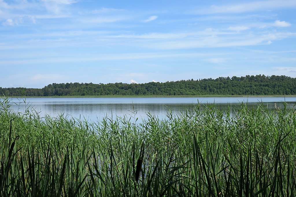 A charming lake in Masuria online puzzle