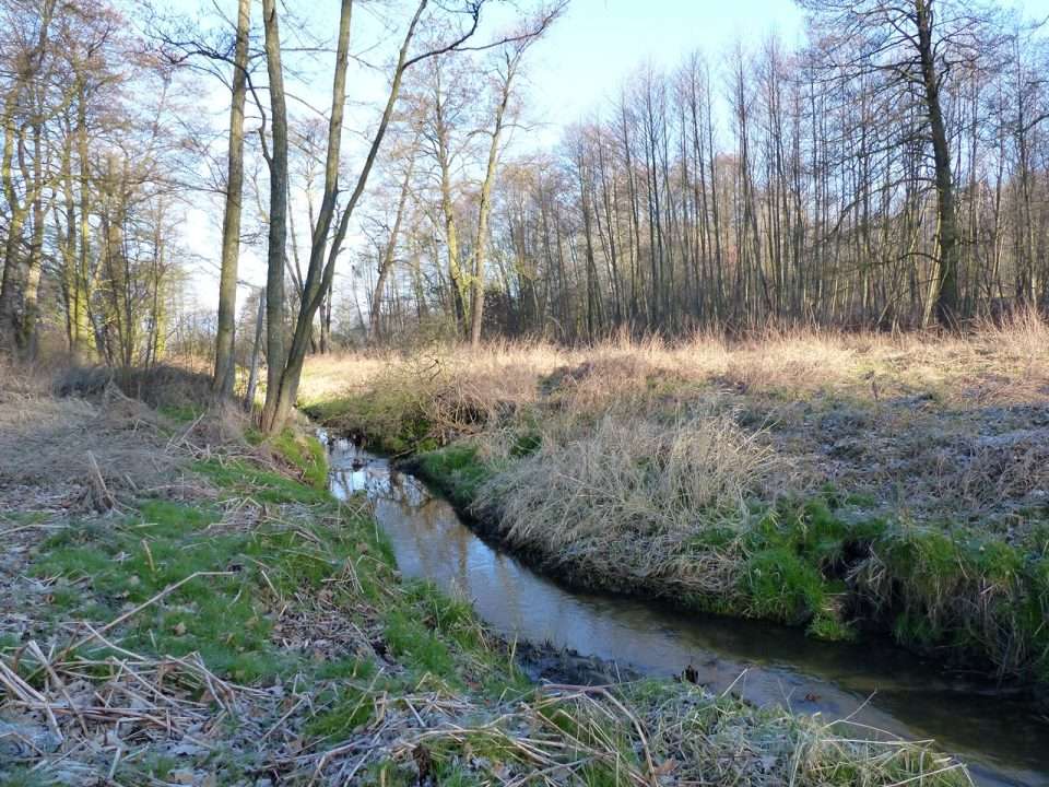 Un hermoso río en Łódź rompecabezas en línea