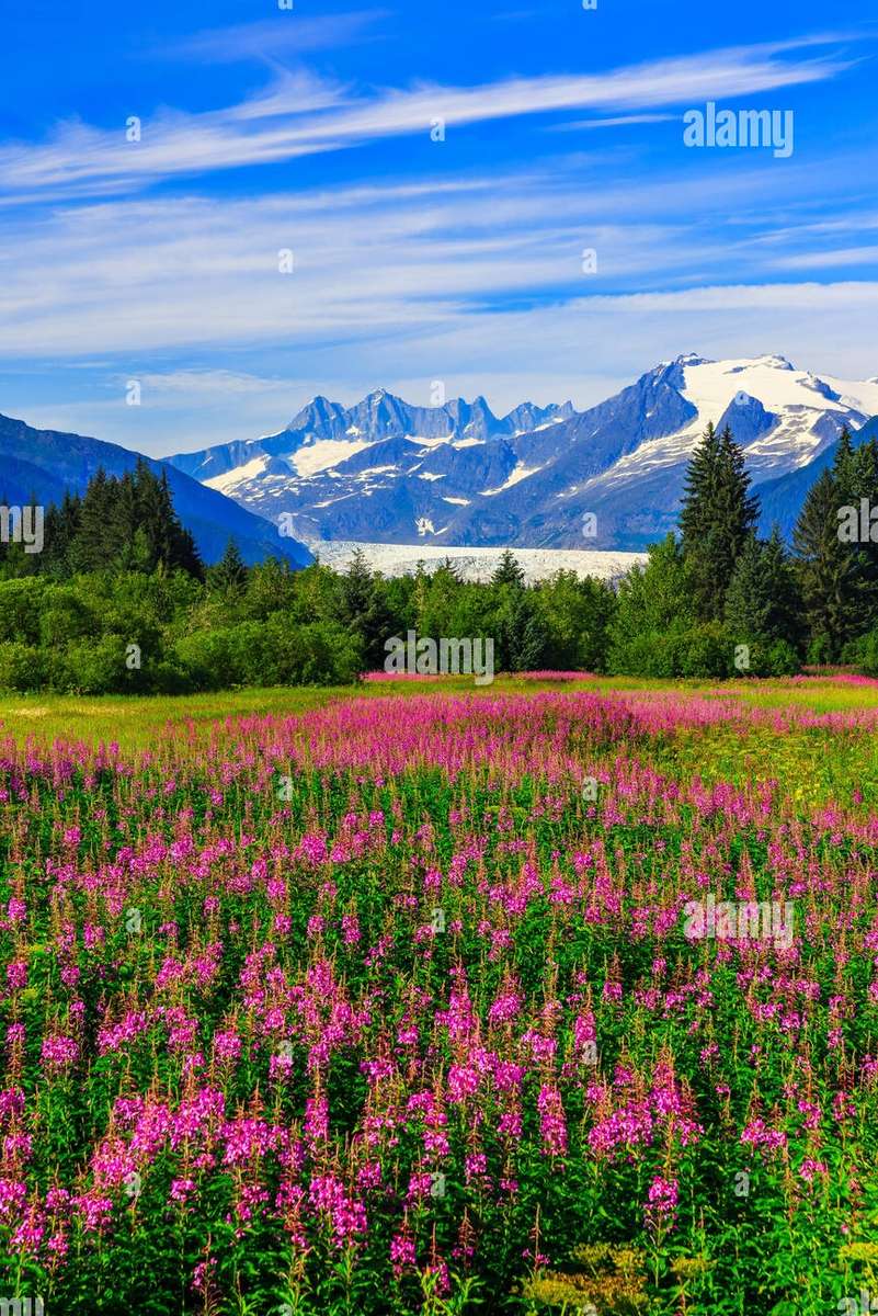 Lunca din Alaska puzzle online