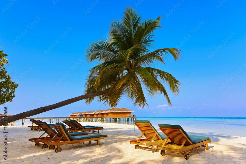 Şezlonguri pe plaja din Maldive jigsaw puzzle online