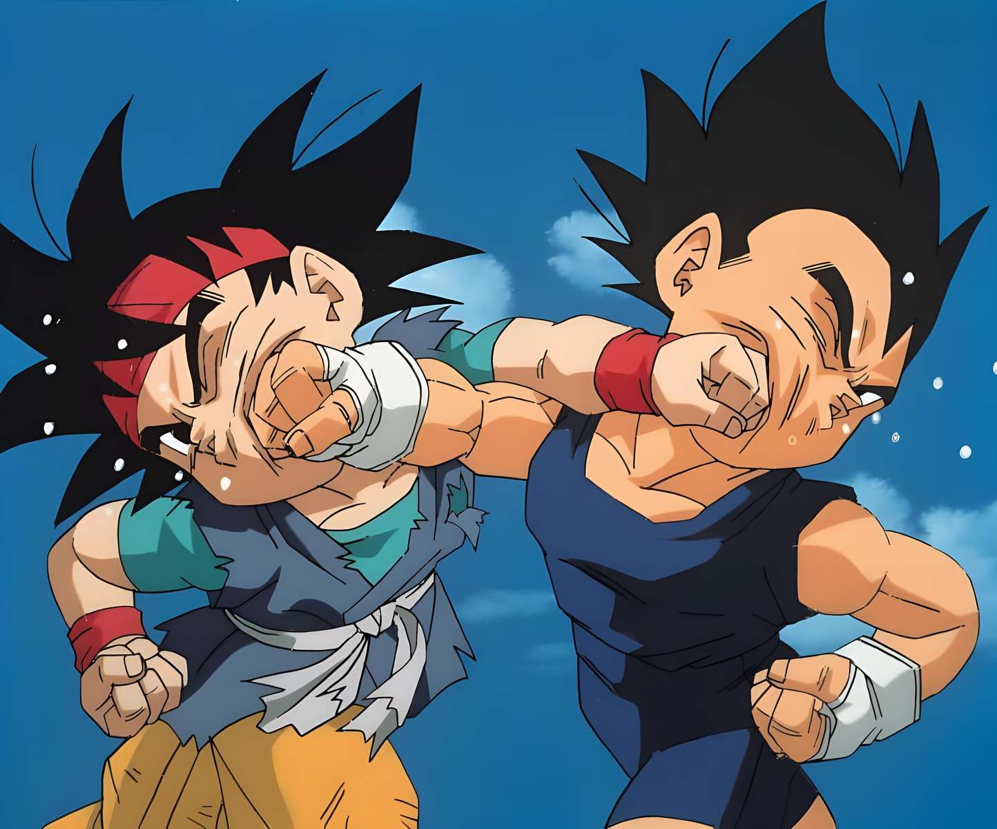 Goku Jr. versus Vegeta Jr. online puzzle