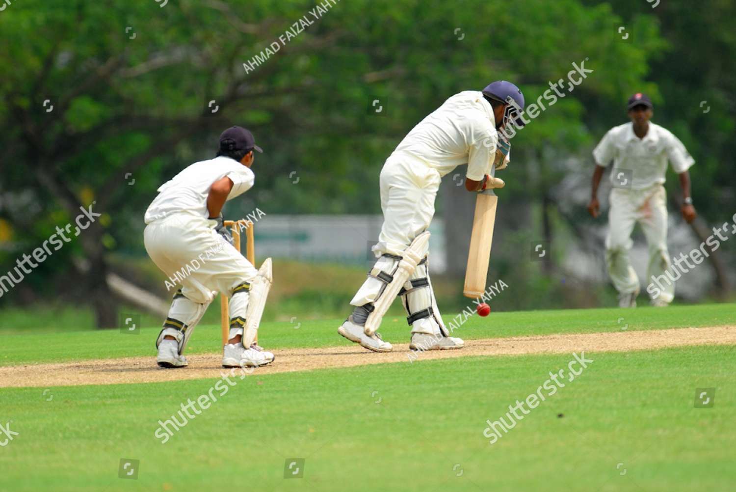 Jucând cricket jigsaw puzzle online