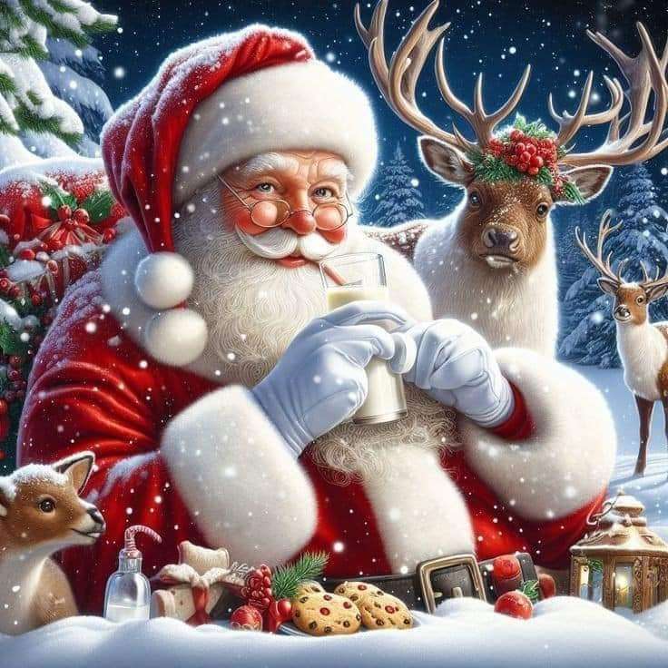 Papai Noel puzzle online