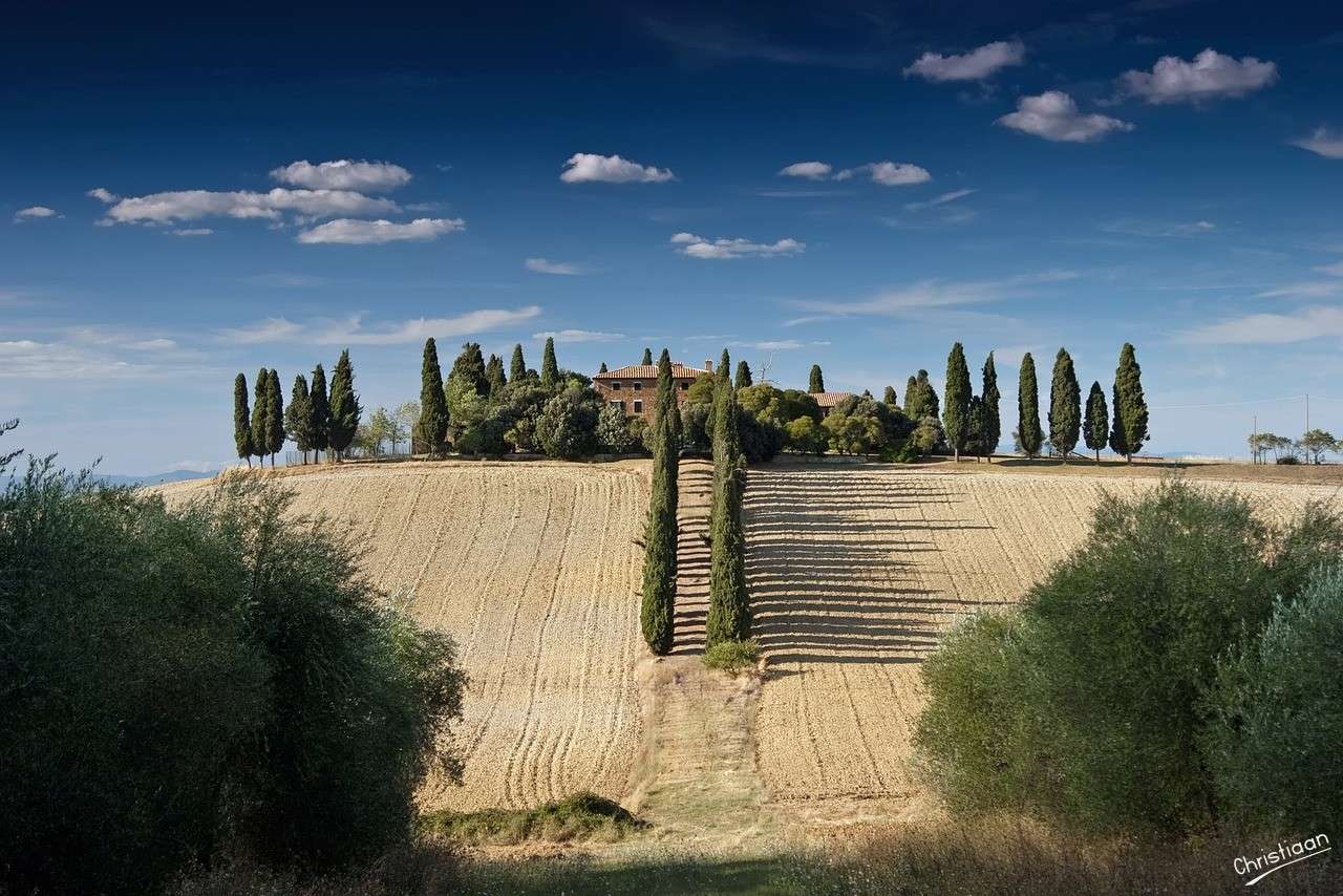 Toscana, Italia, Campi. puzzle online