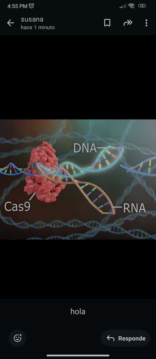 Biologic puzzle online