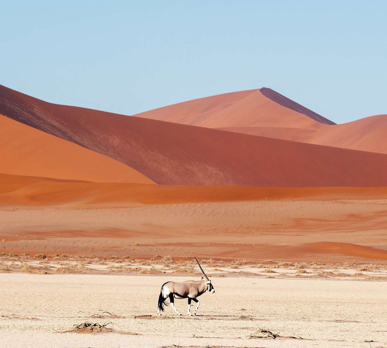 Désert de Dakhla en Égypte puzzle en ligne