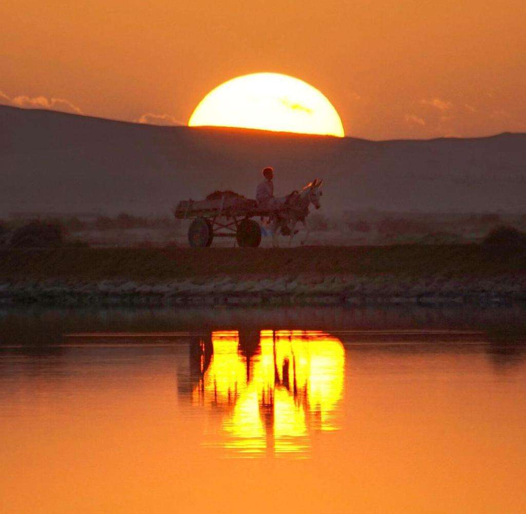 Oasis du désert de Siwa en Égypte puzzle en ligne