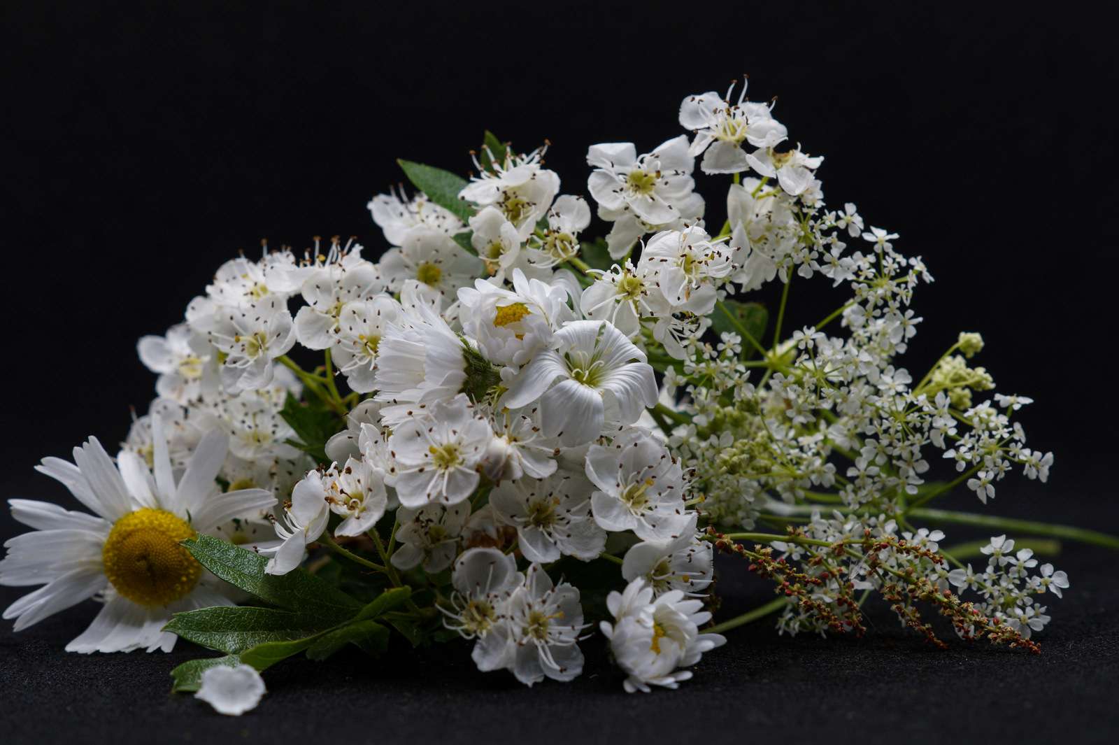 flores de primavera rompecabezas en línea