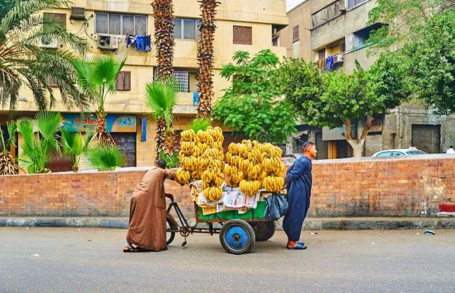 Cărucior cu banane, capitala Egiptului, Cairo puzzle online