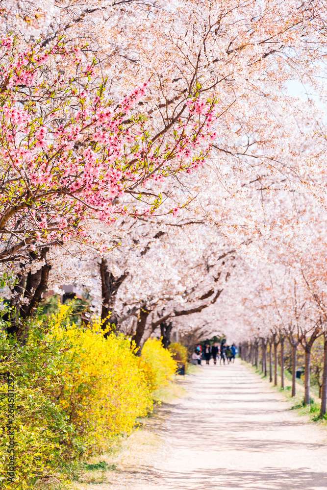 Primavera na Coreia do Sul quebra-cabeças online