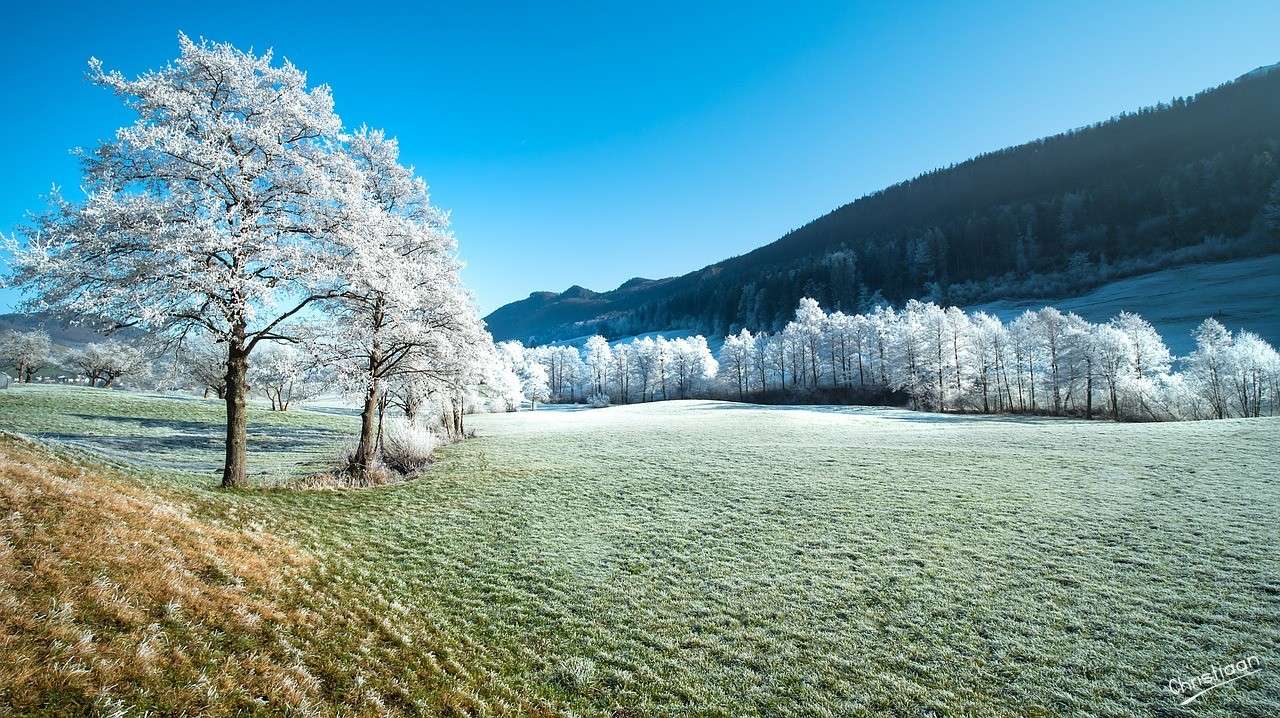 Área montanhosa, árvores, geada. puzzle online