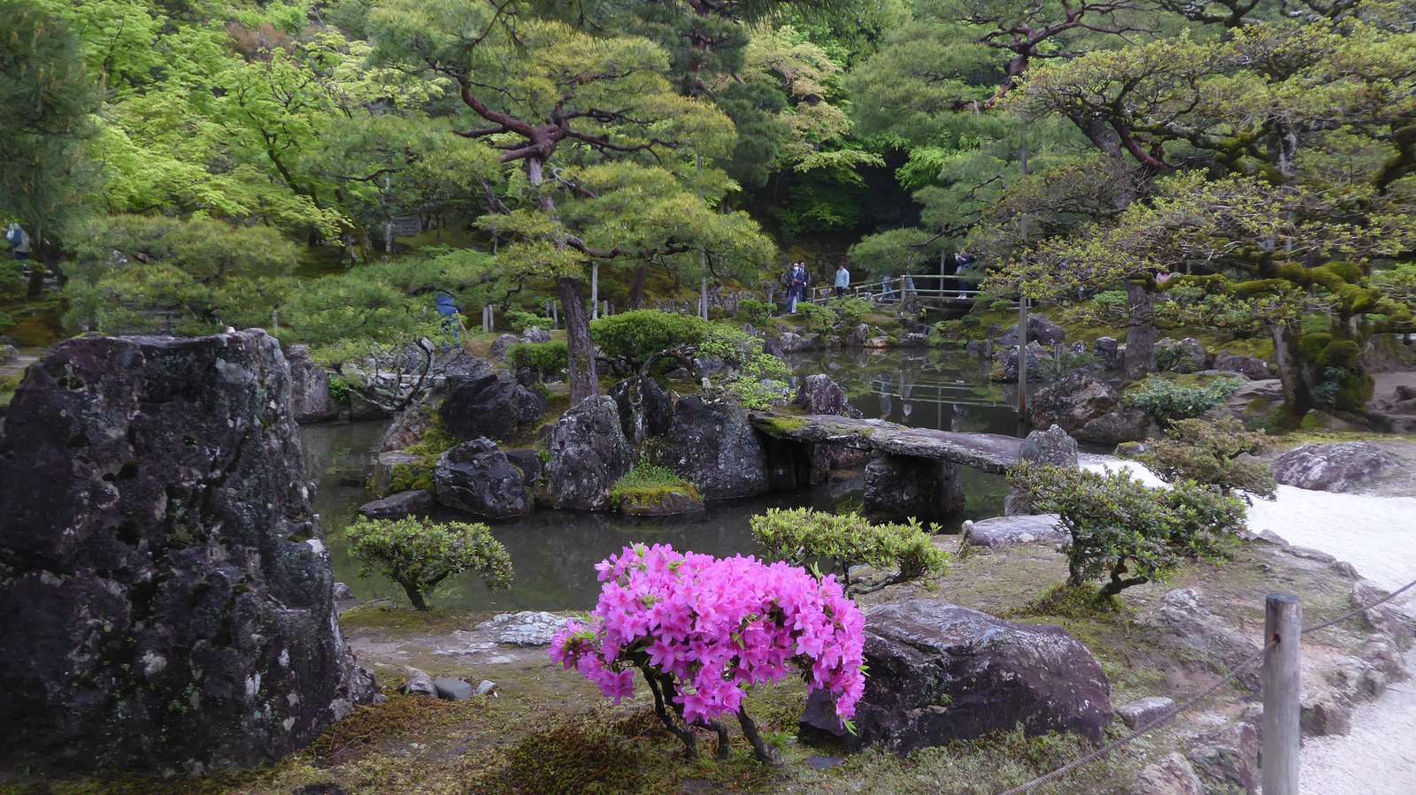 japansk trädgård Pussel online