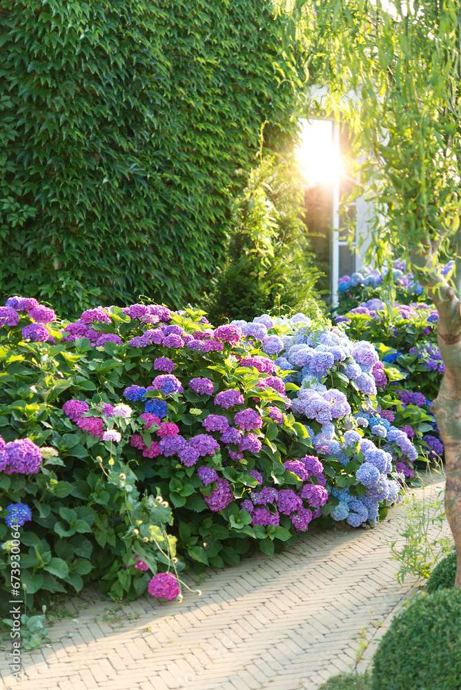 Bulevardul Hydrangea puzzle online