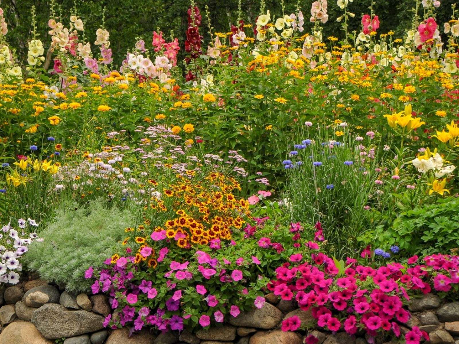 Plantas de jardín de cabaña rompecabezas en línea