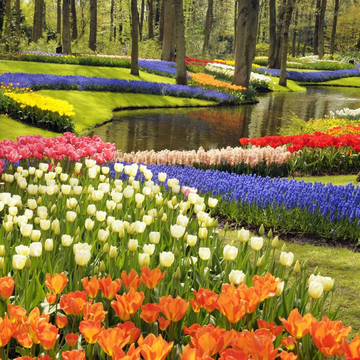 花と観賞用の庭園 オンラインパズル