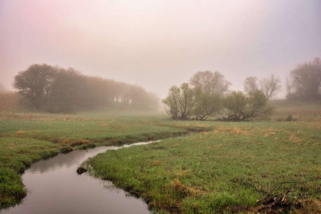 Idyllische Landschaft mit einem Fluss Online-Puzzle