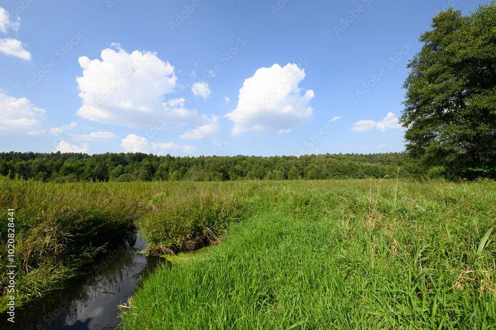 Paysage idyllique avec une rivière puzzle en ligne