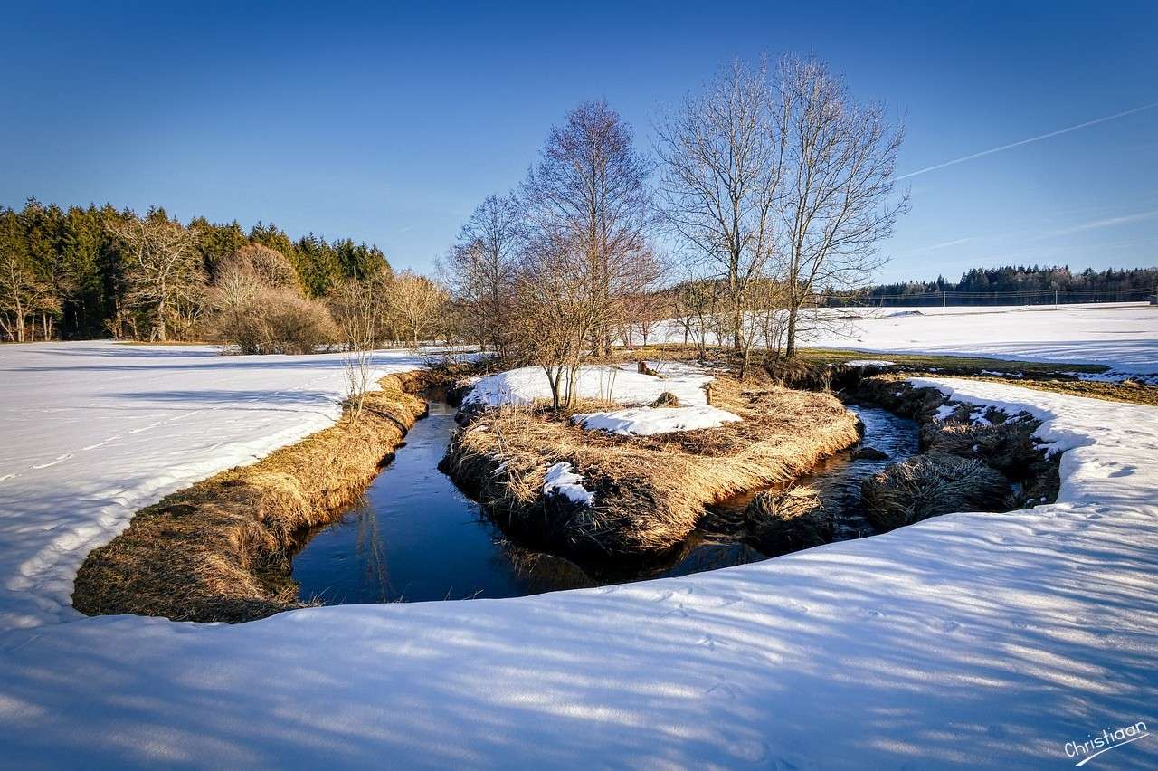 Inverno, neve, árvore. quebra-cabeças online