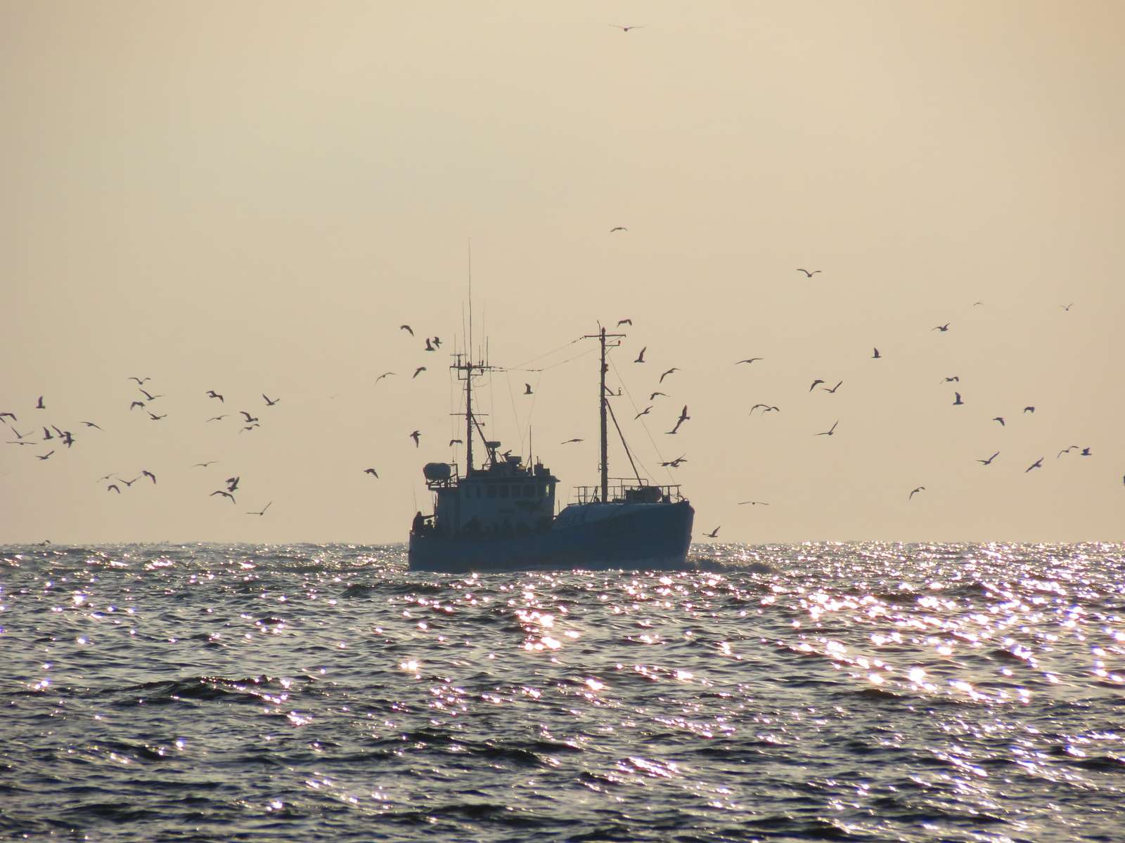 Barco de pesca al atardecer rompecabezas en línea