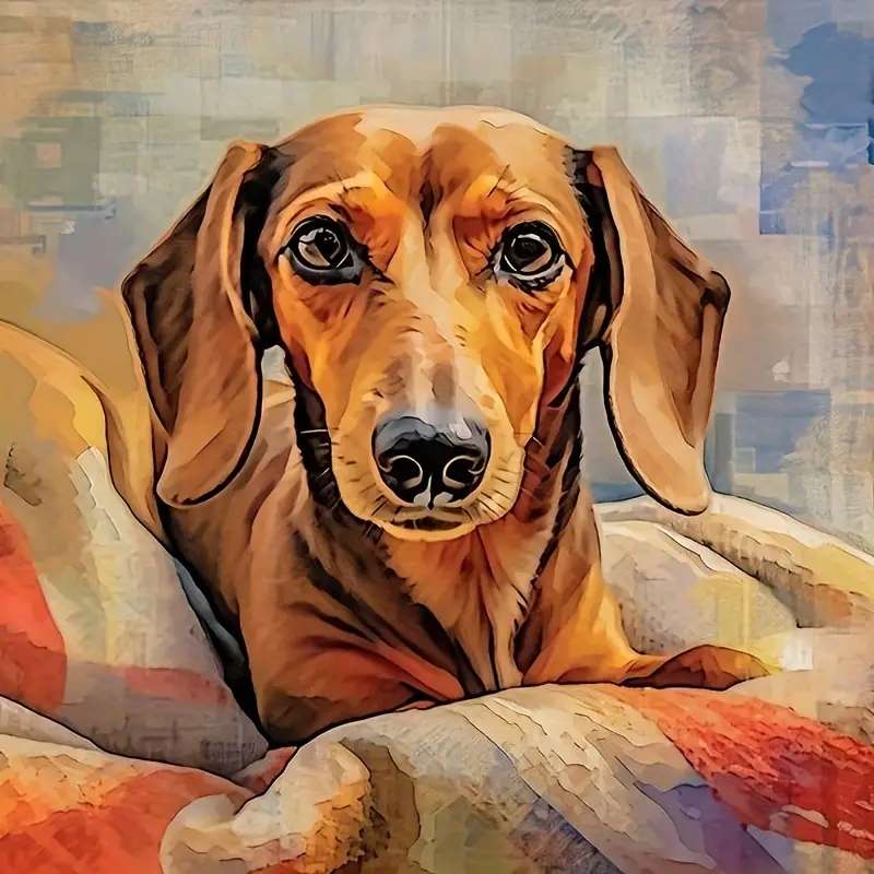 πορτρέτο ενός κοντόμαλλου dachshund παζλ online