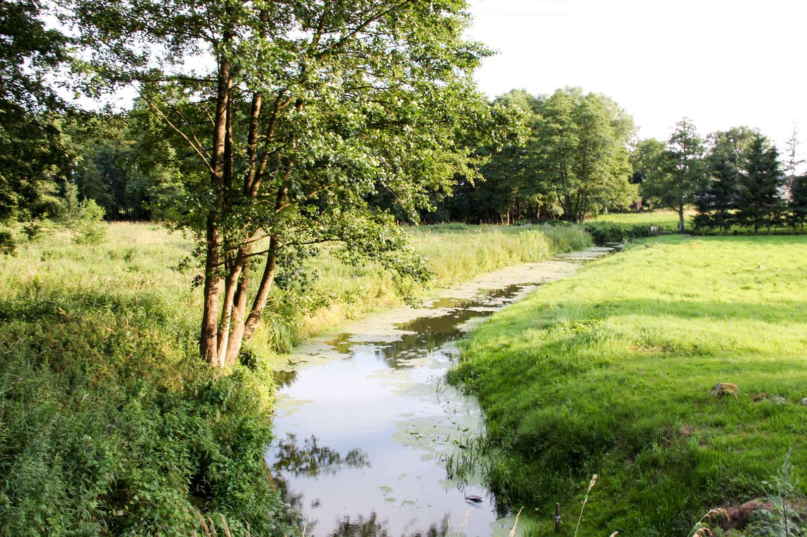 De rivier de Świniec met het woiwodschap West-Pommeren legpuzzel online