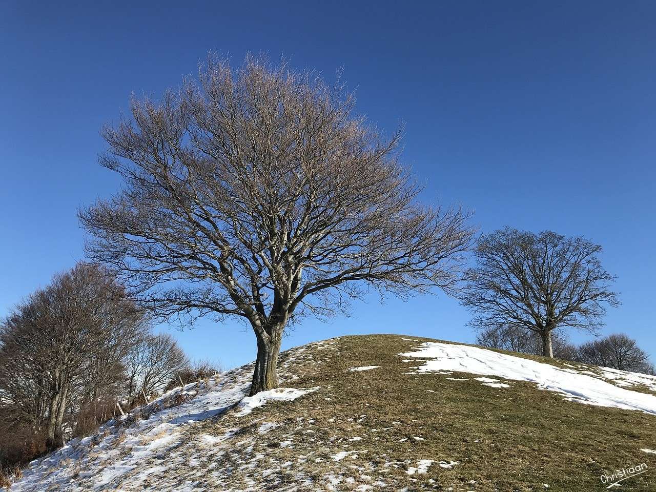 Ruta alpina, Alpes. rompecabezas en línea