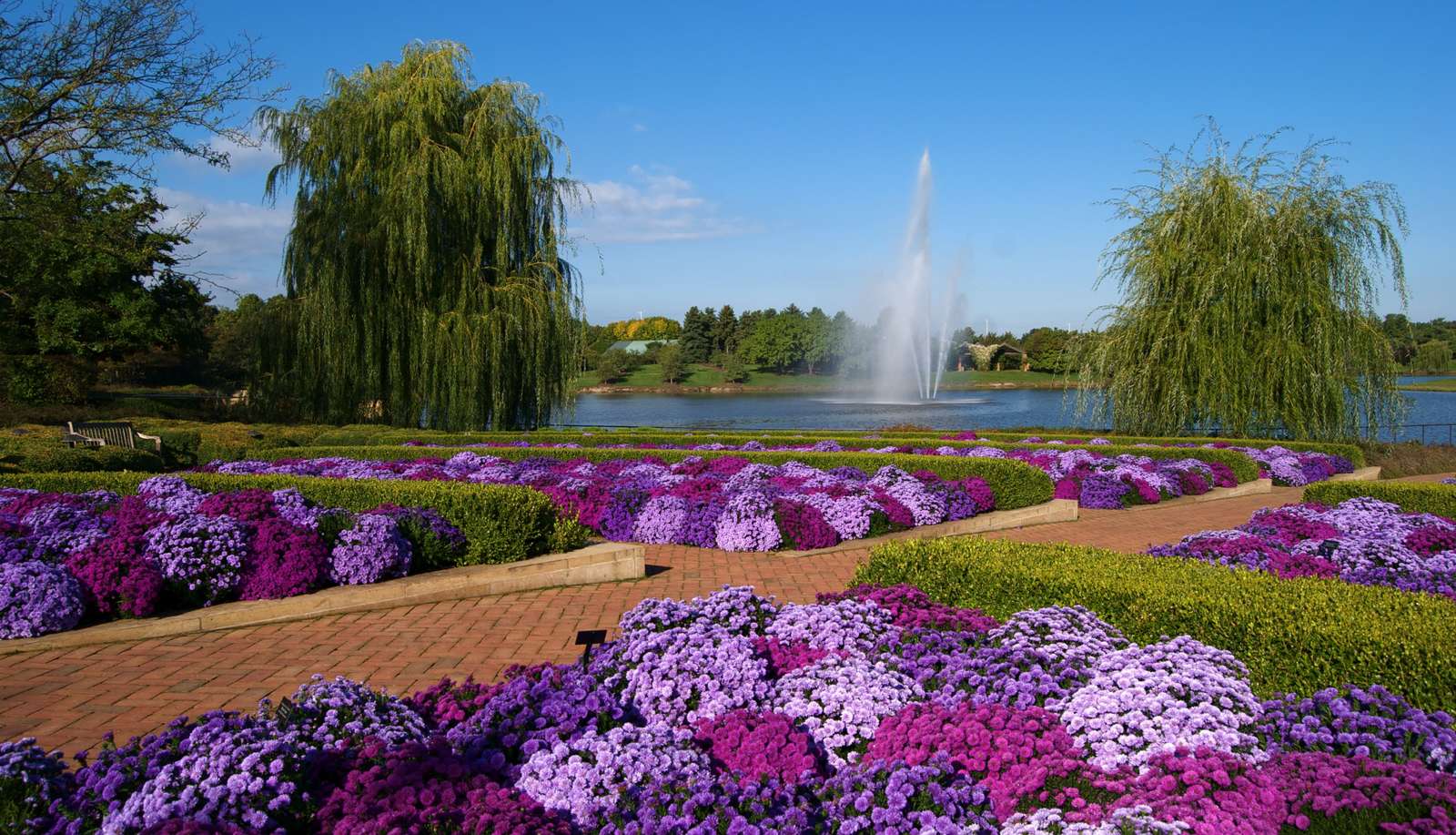 シカゴ植物園 オンラインパズル