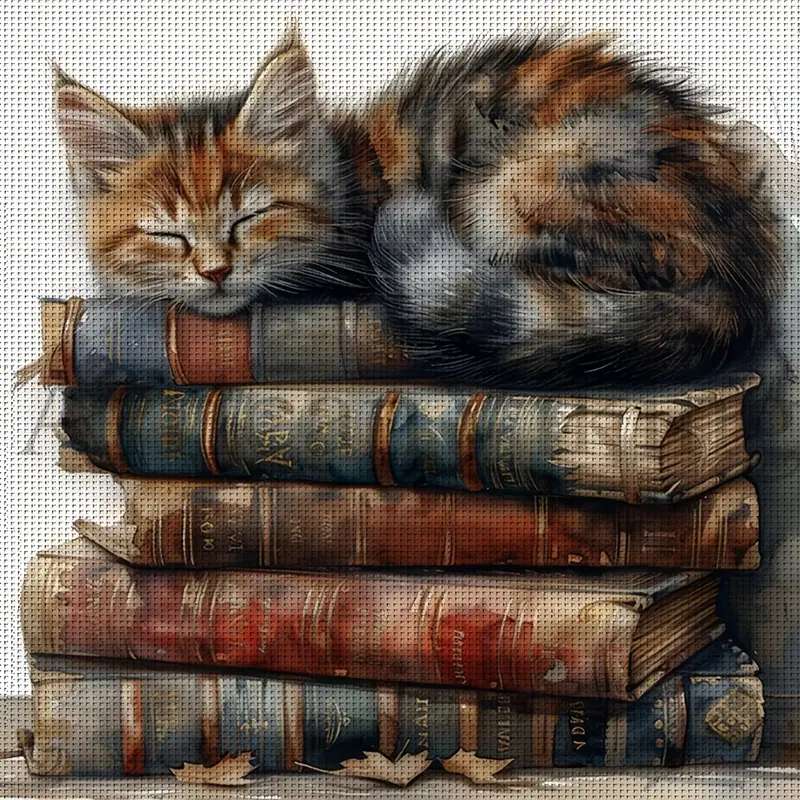 котка спи върху книги онлайн пъзел