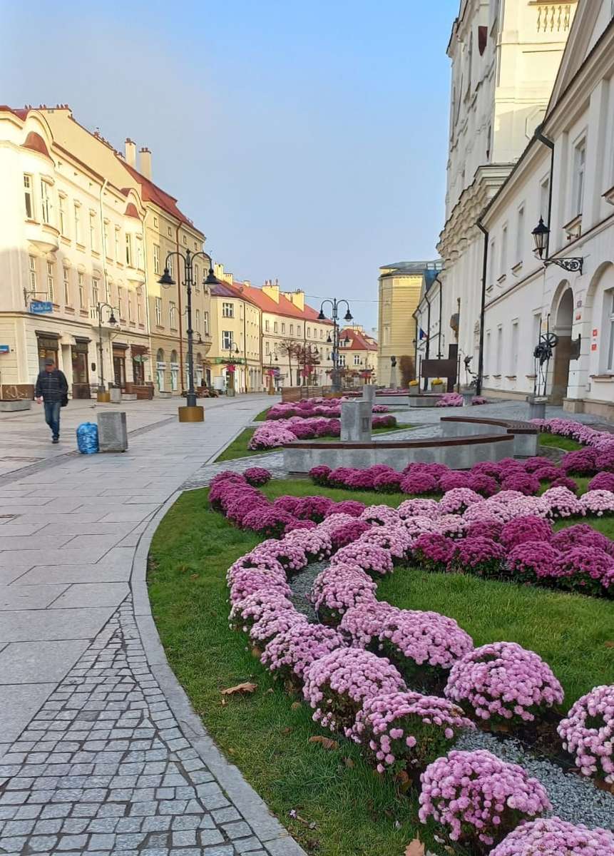 strada 3maja Rzeszów jigsaw puzzle online