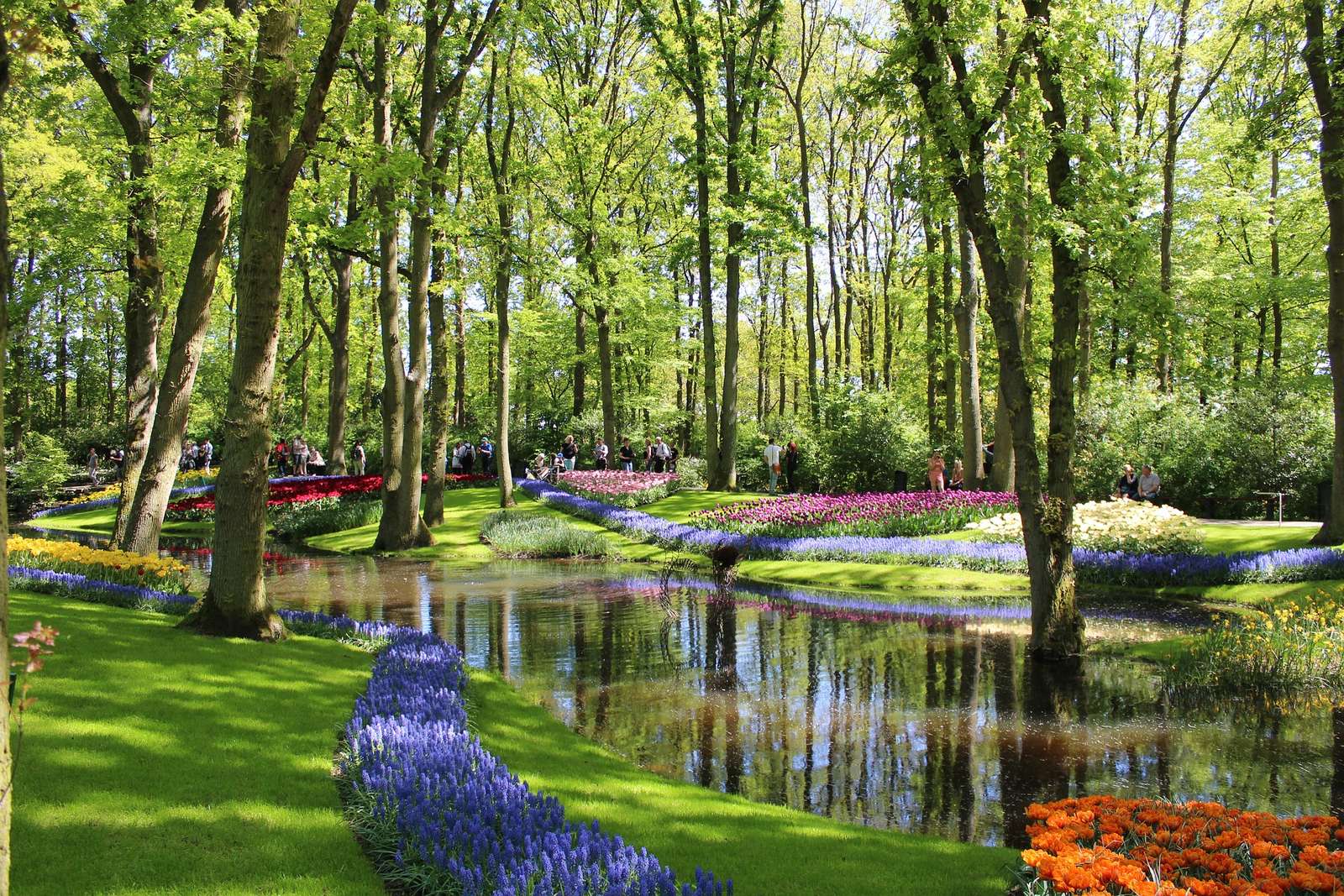 Jardines Keukenhof Países Bajos rompecabezas en línea