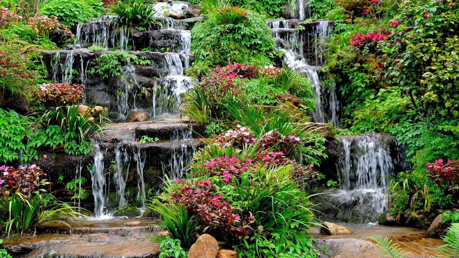 Fleurs et pierres de cascade puzzle en ligne