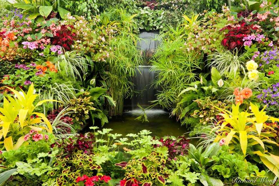 Greenhouse Waterfall jigsaw puzzle online