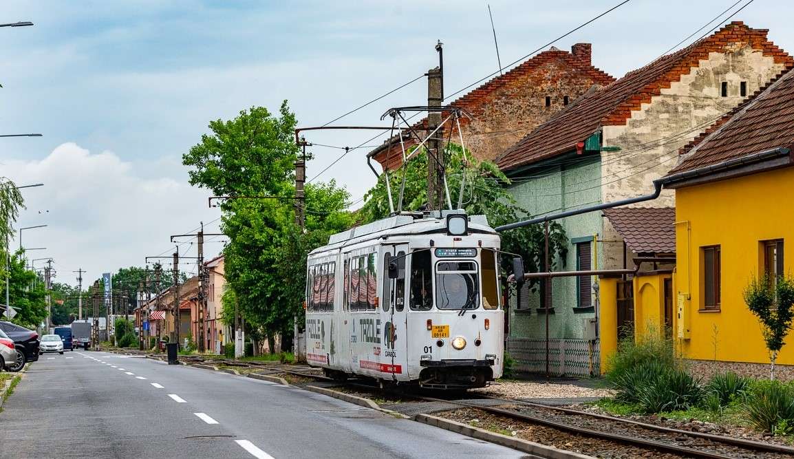 Bonde na cidade romena de Timisoara quebra-cabeças online