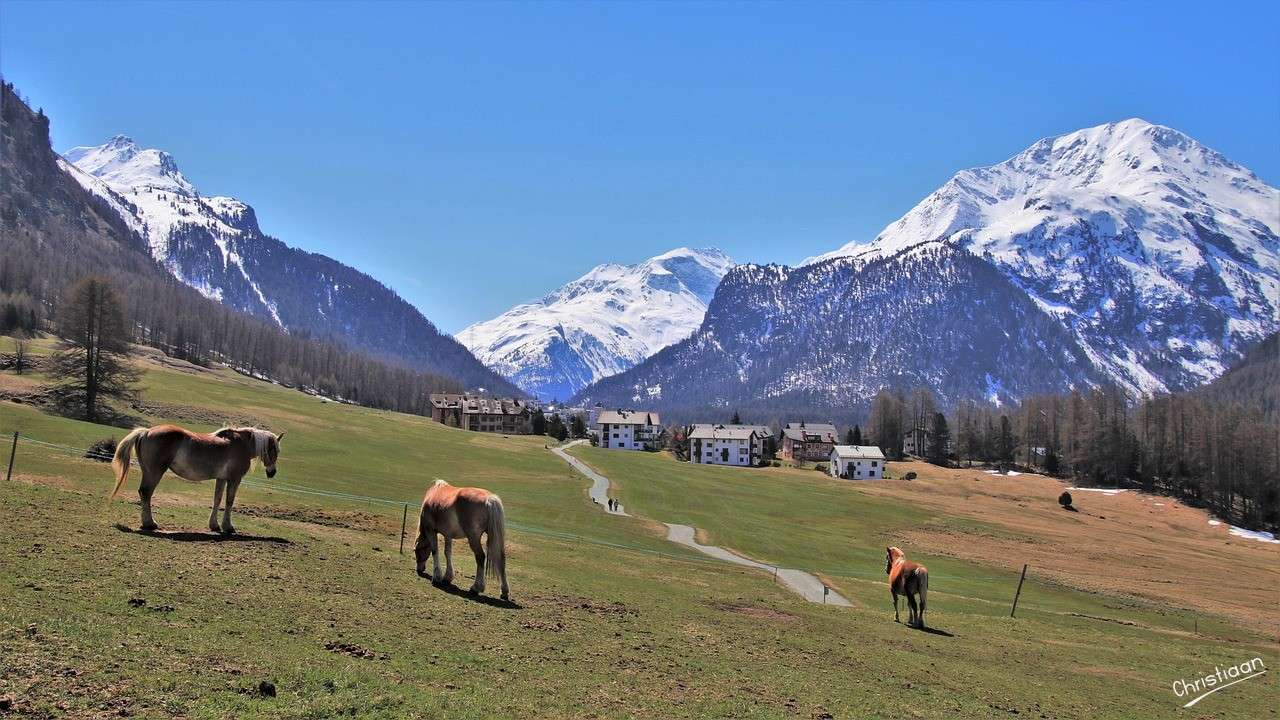 牧草地、山、馬。 オンラインパズル