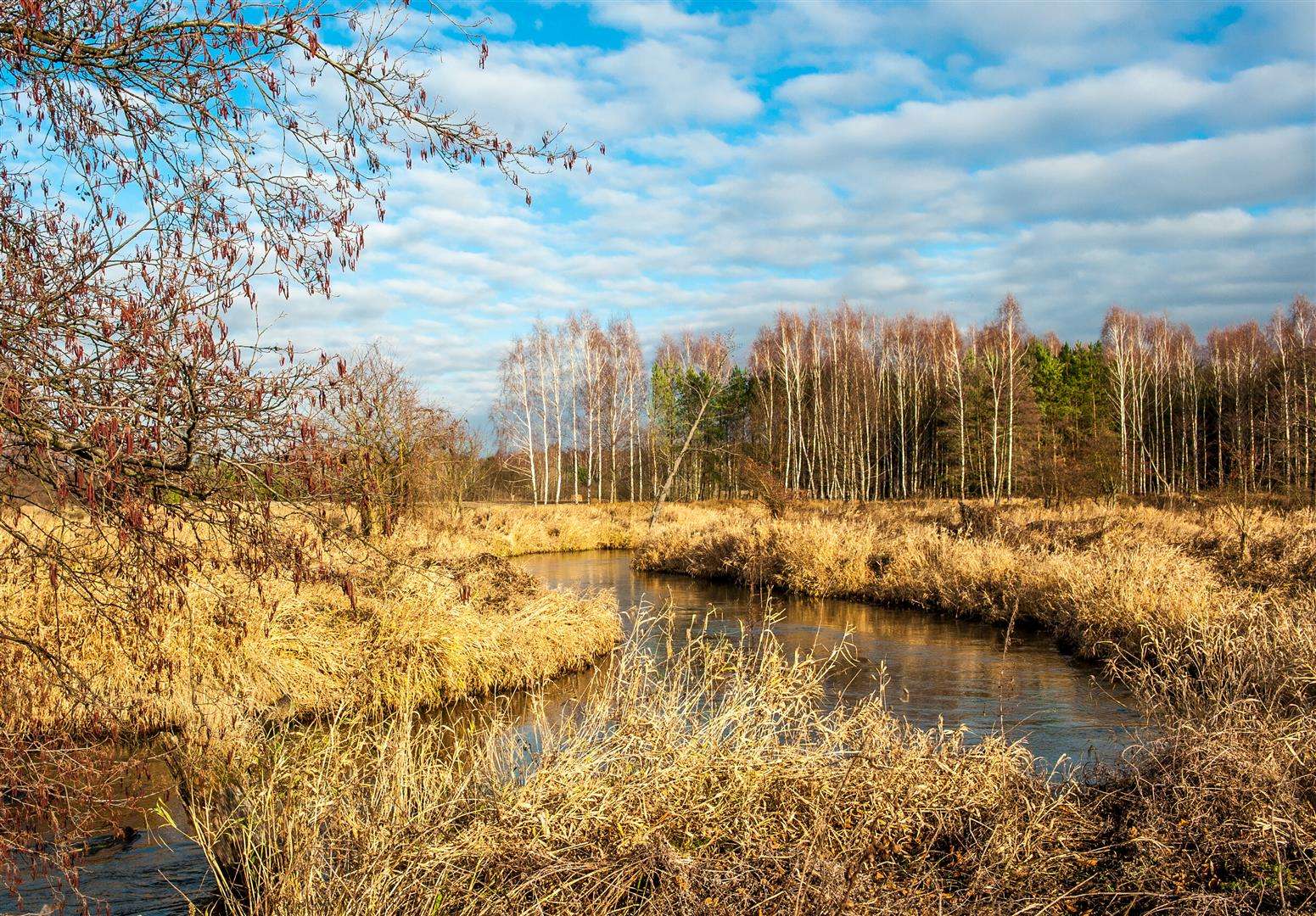 Bolimowski Tájpark kirakós online