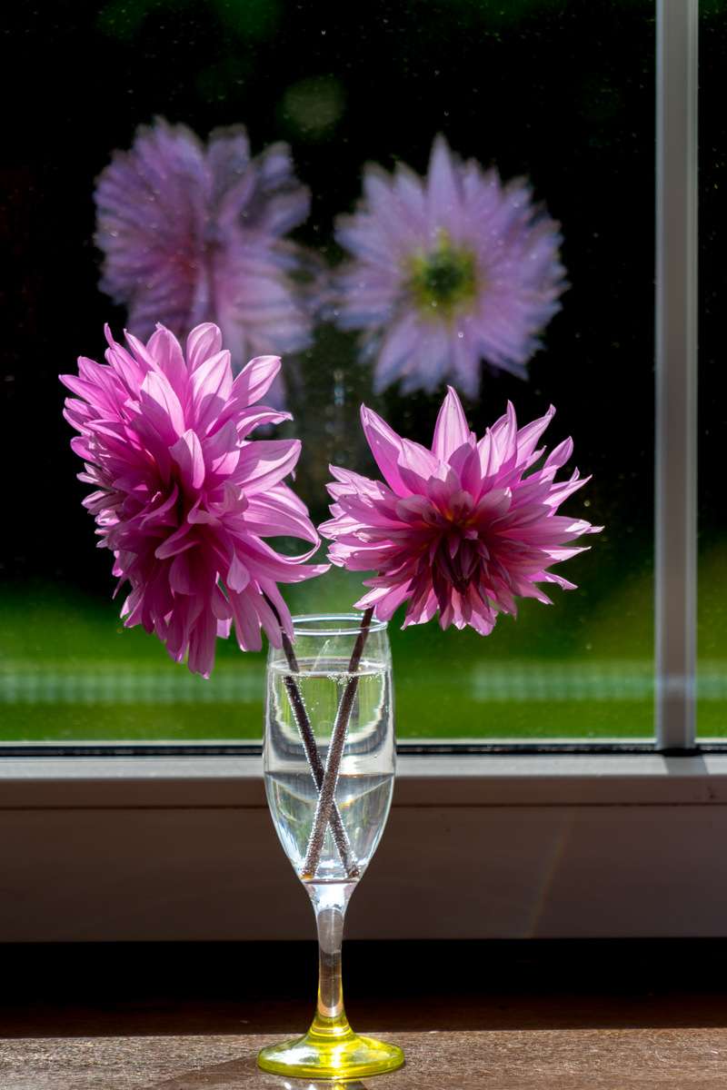 flores en la ventana rompecabezas en línea