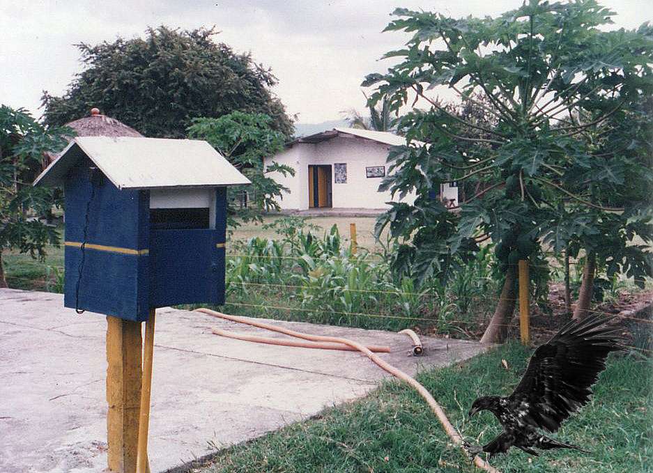 mi finca rompecabezas en línea