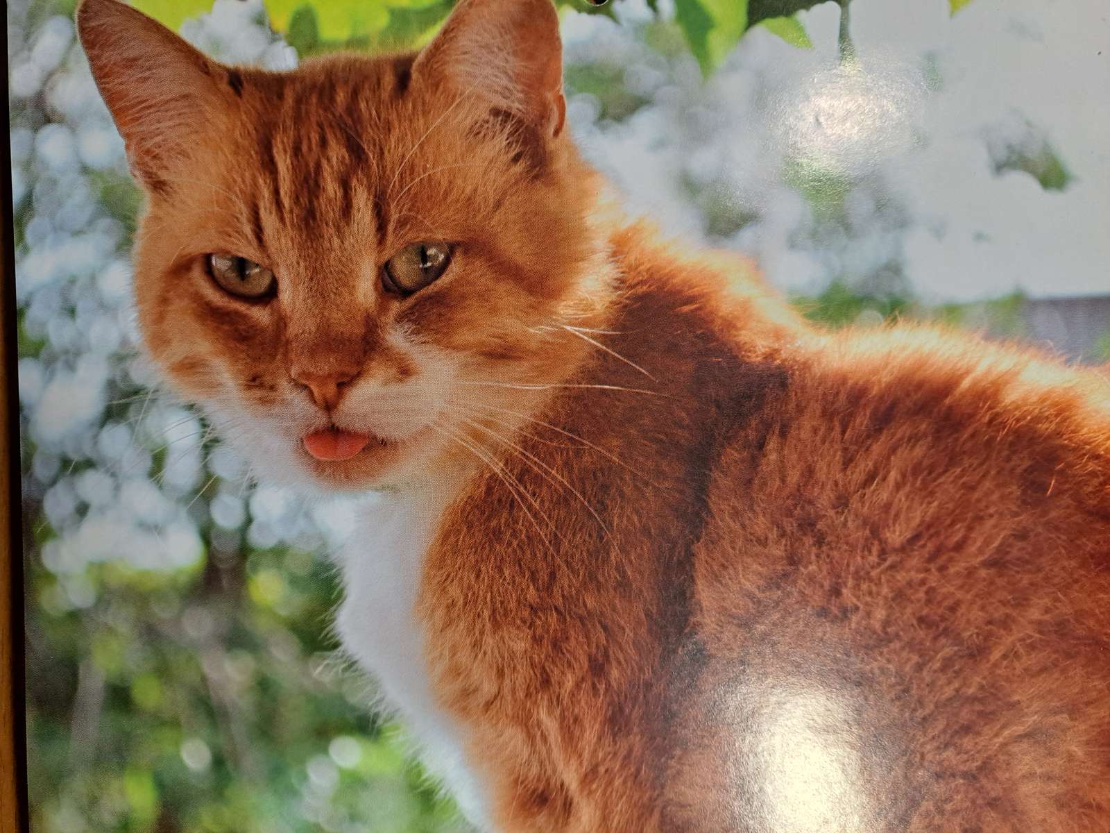 piros és szép kirakós online