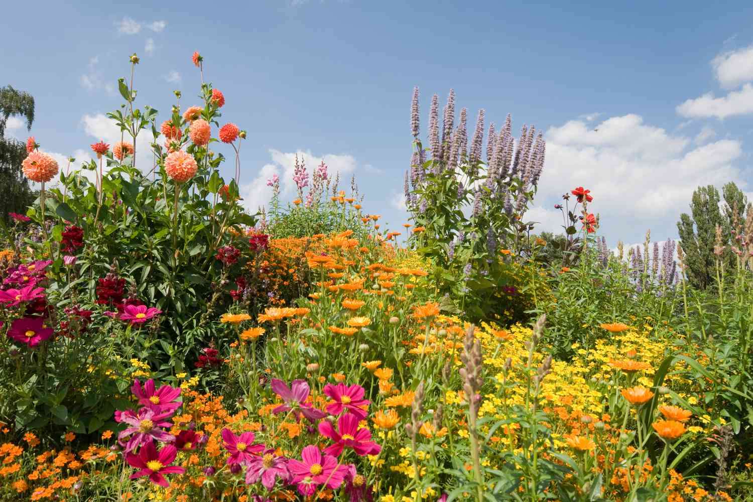 Zomerbloemen online puzzel