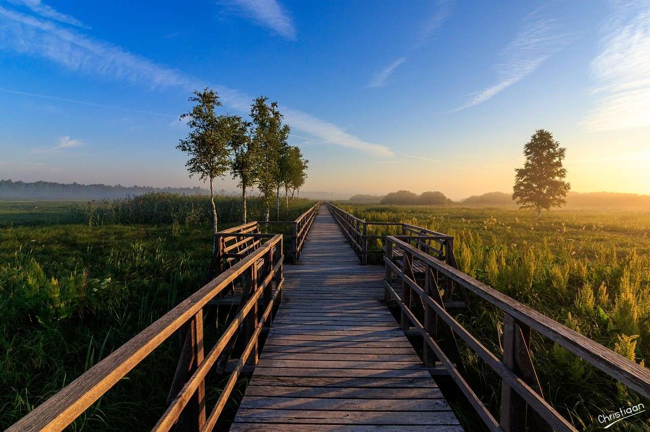 Natuurbescherming, Pier, Natuur. online puzzel