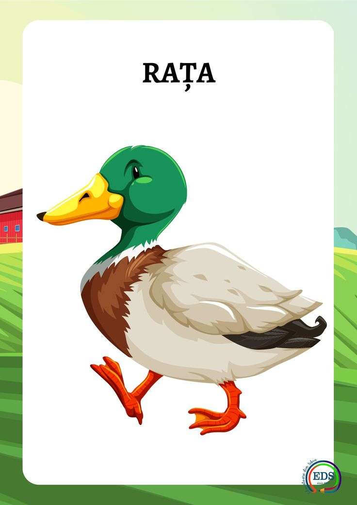 Kacsa puzzle online puzzle