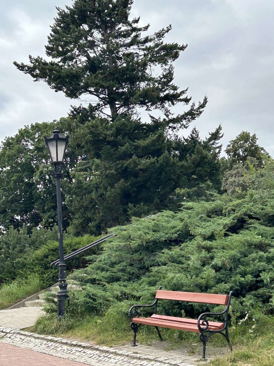 egy pad a sétányon kirakós online