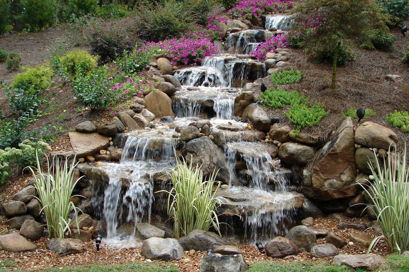 Actie watertuin legpuzzel online