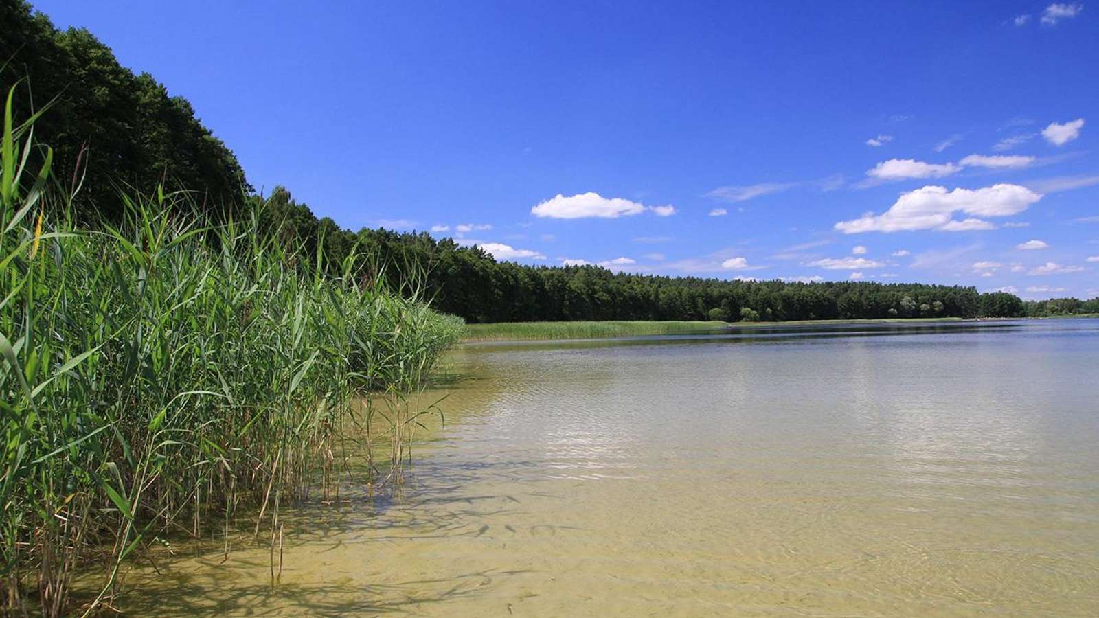 Lacul Trumie vara jigsaw puzzle online
