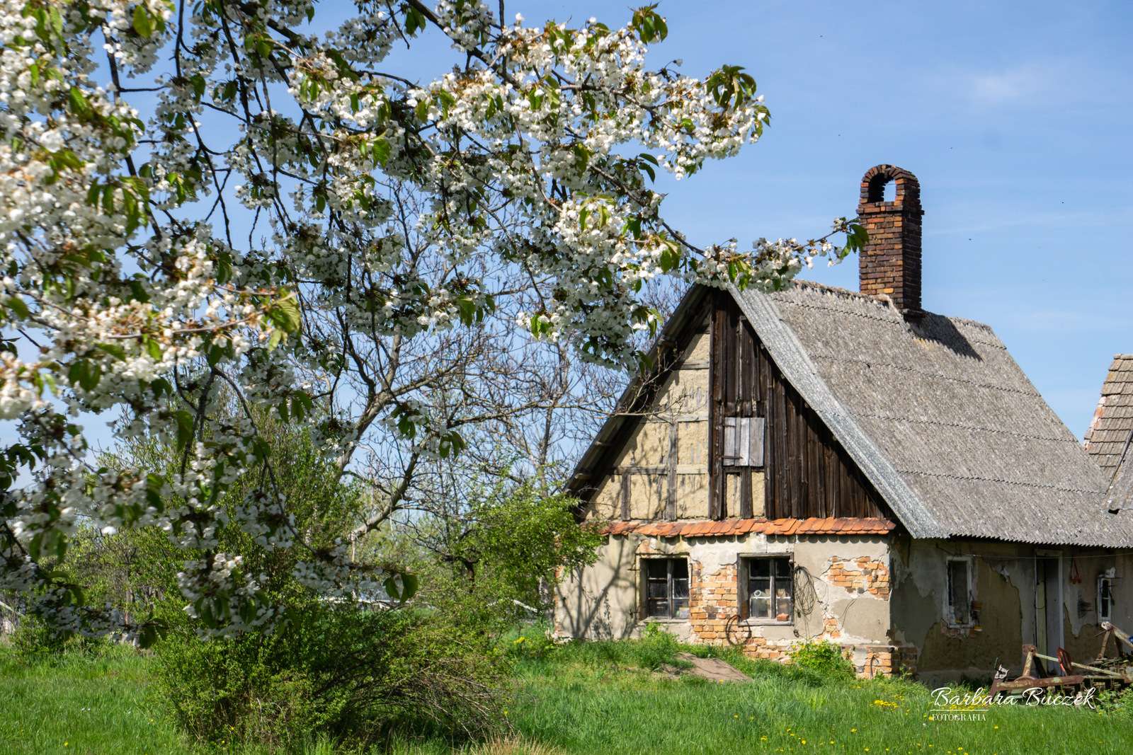 田舎の風景春の日 ジグソーパズルオンライン