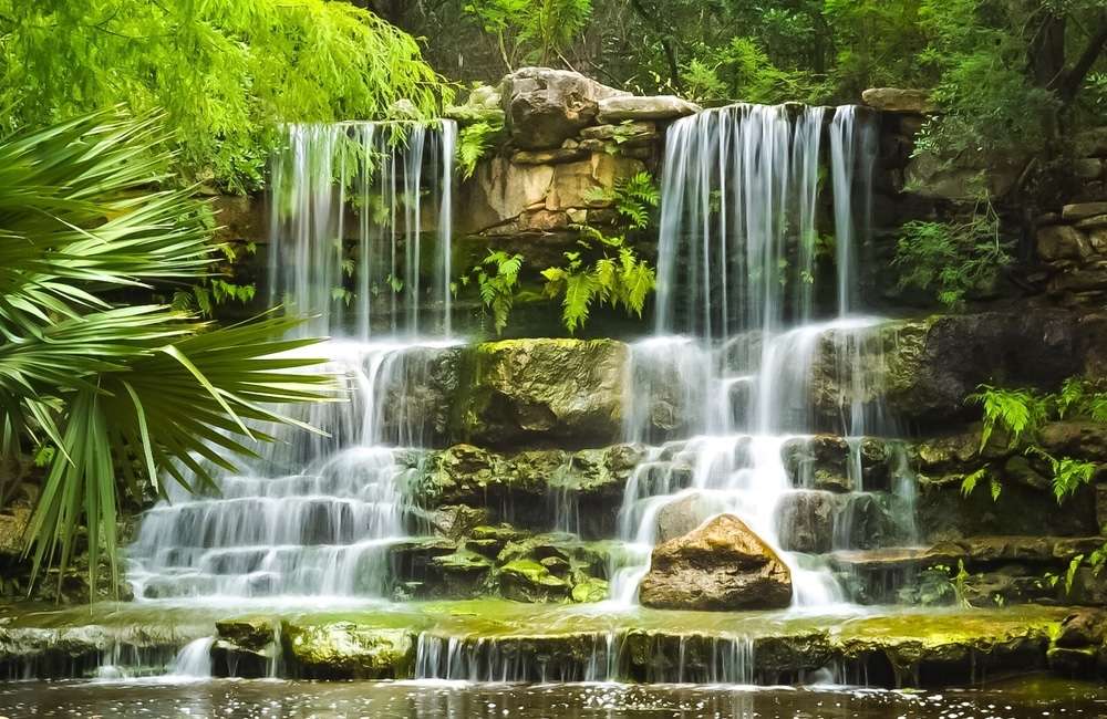 De Botanische tuin van Austin legpuzzel online