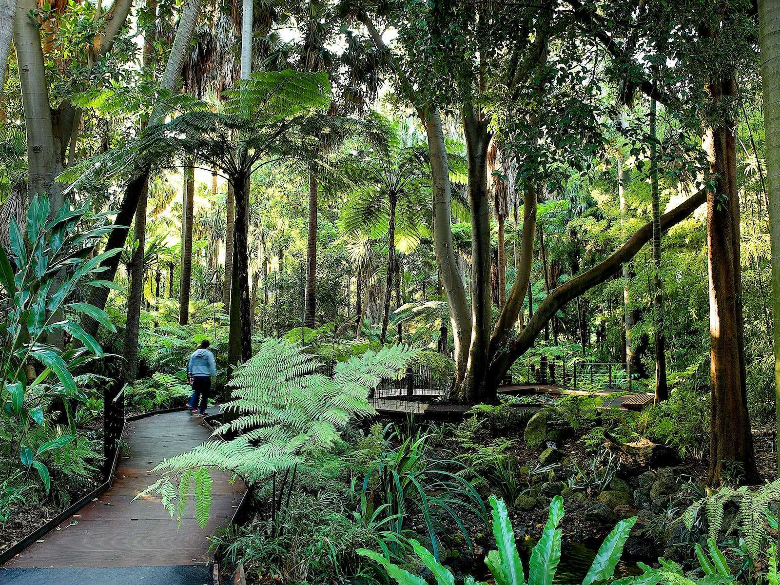 Royal Botanic Gardens Victoria Australia puzzle online