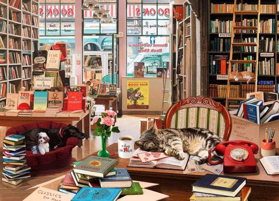 Bookstore's companionship jigsaw puzzle online