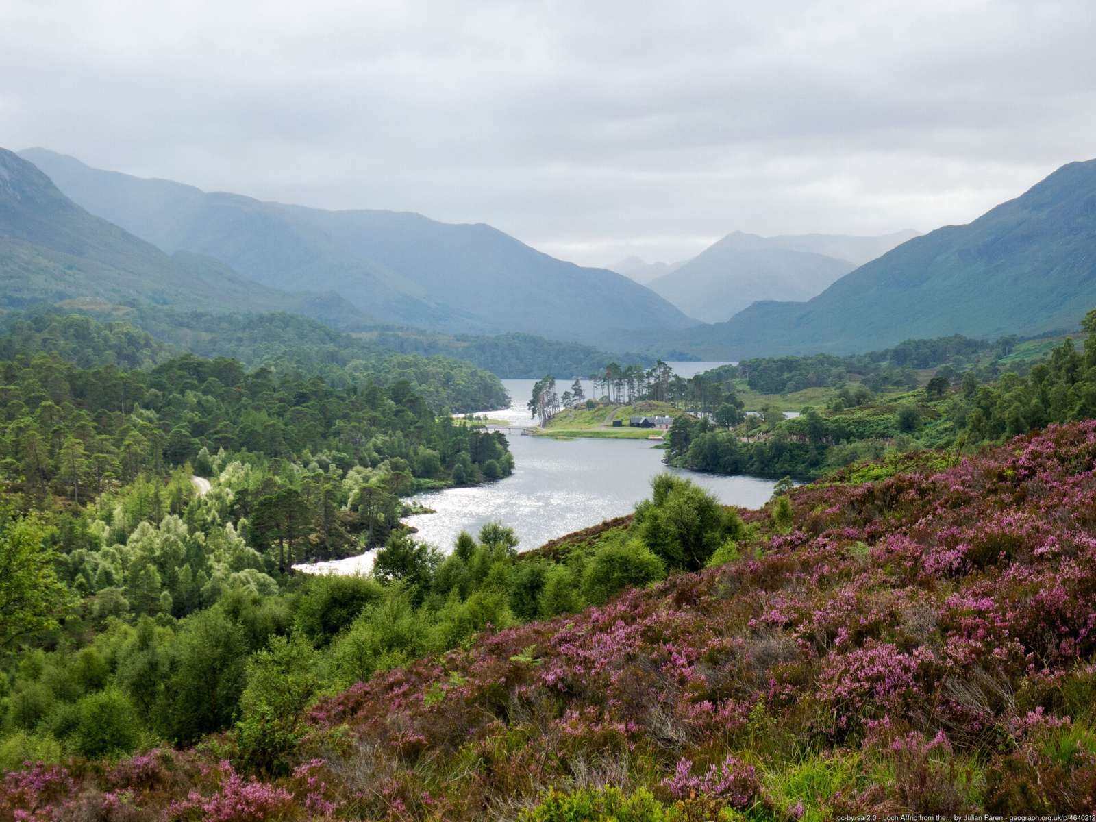 Glen Affric w Szkocji puzzle online