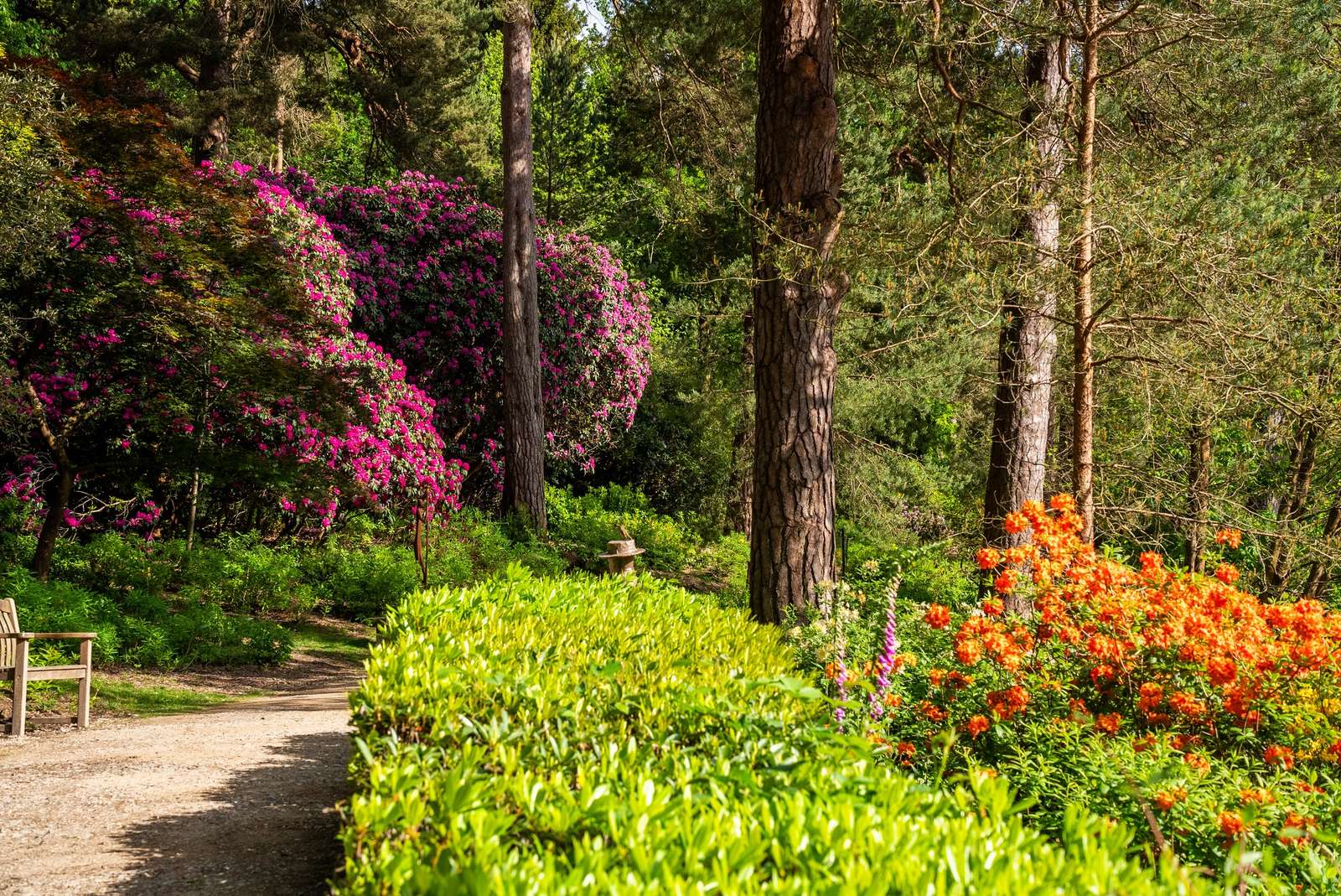 Leonardlee Gardens West Sussex legpuzzel online